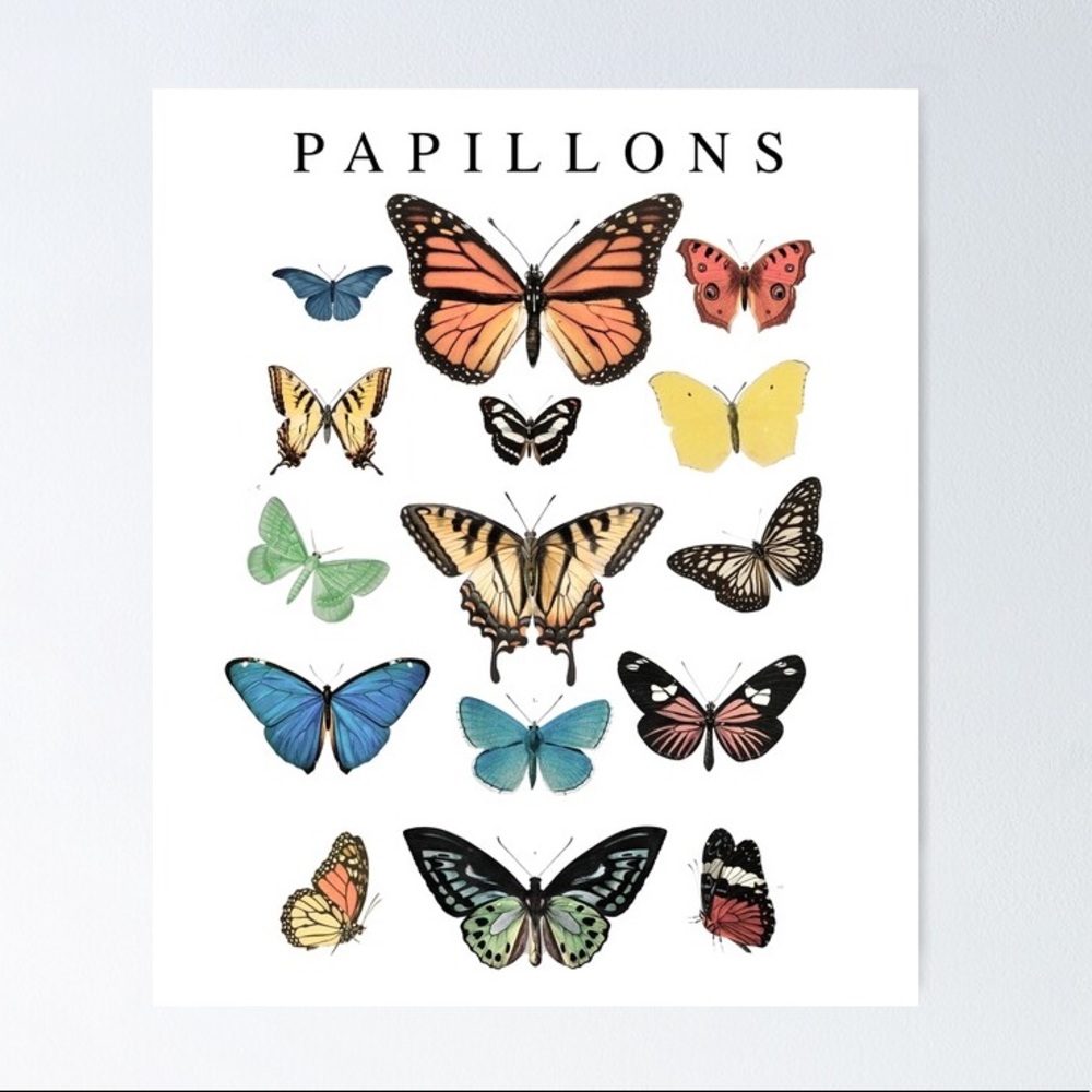 Butterfly Shirt